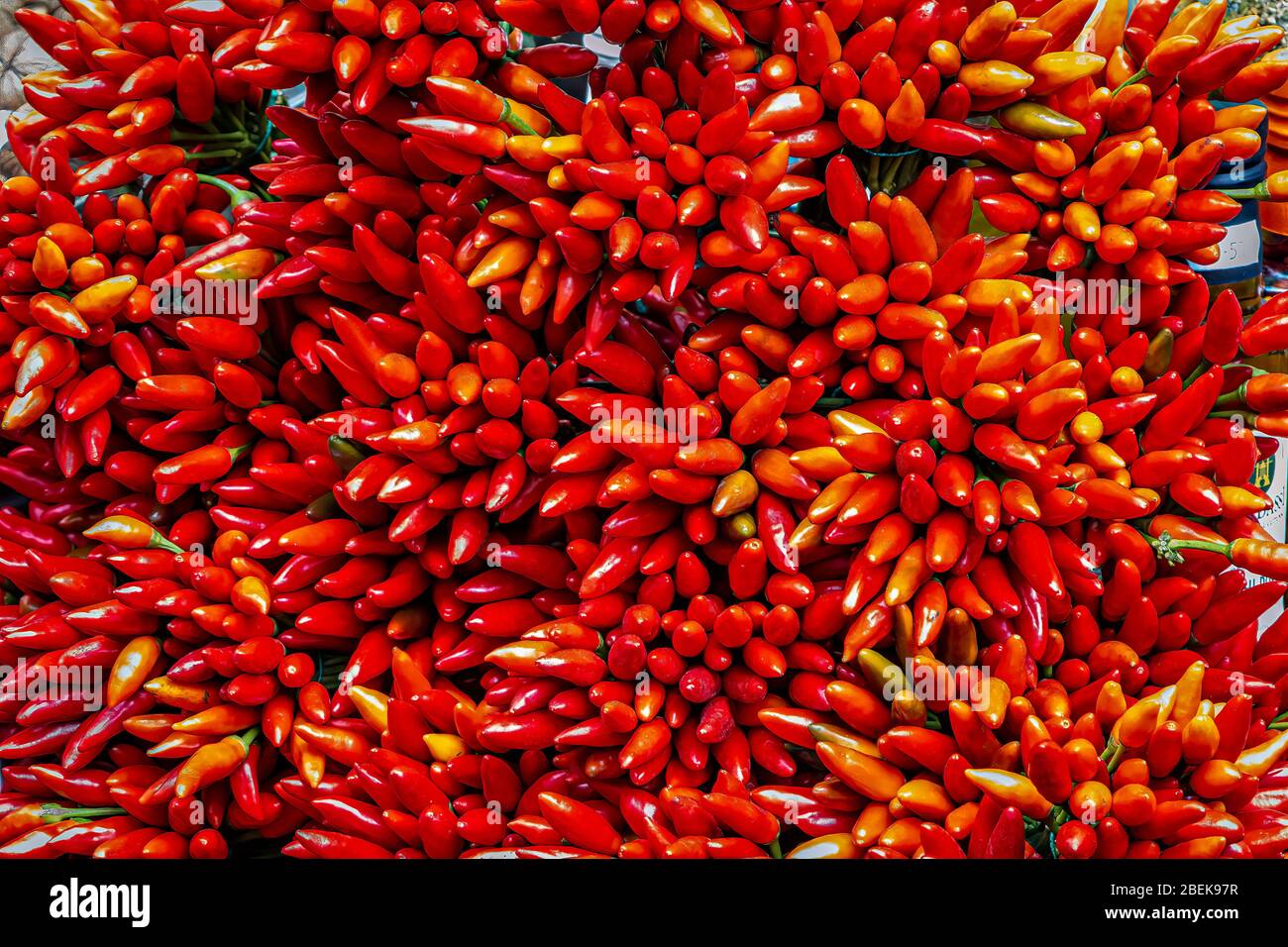 Crudo alimentare: Peperoncino rosso Foto Stock
