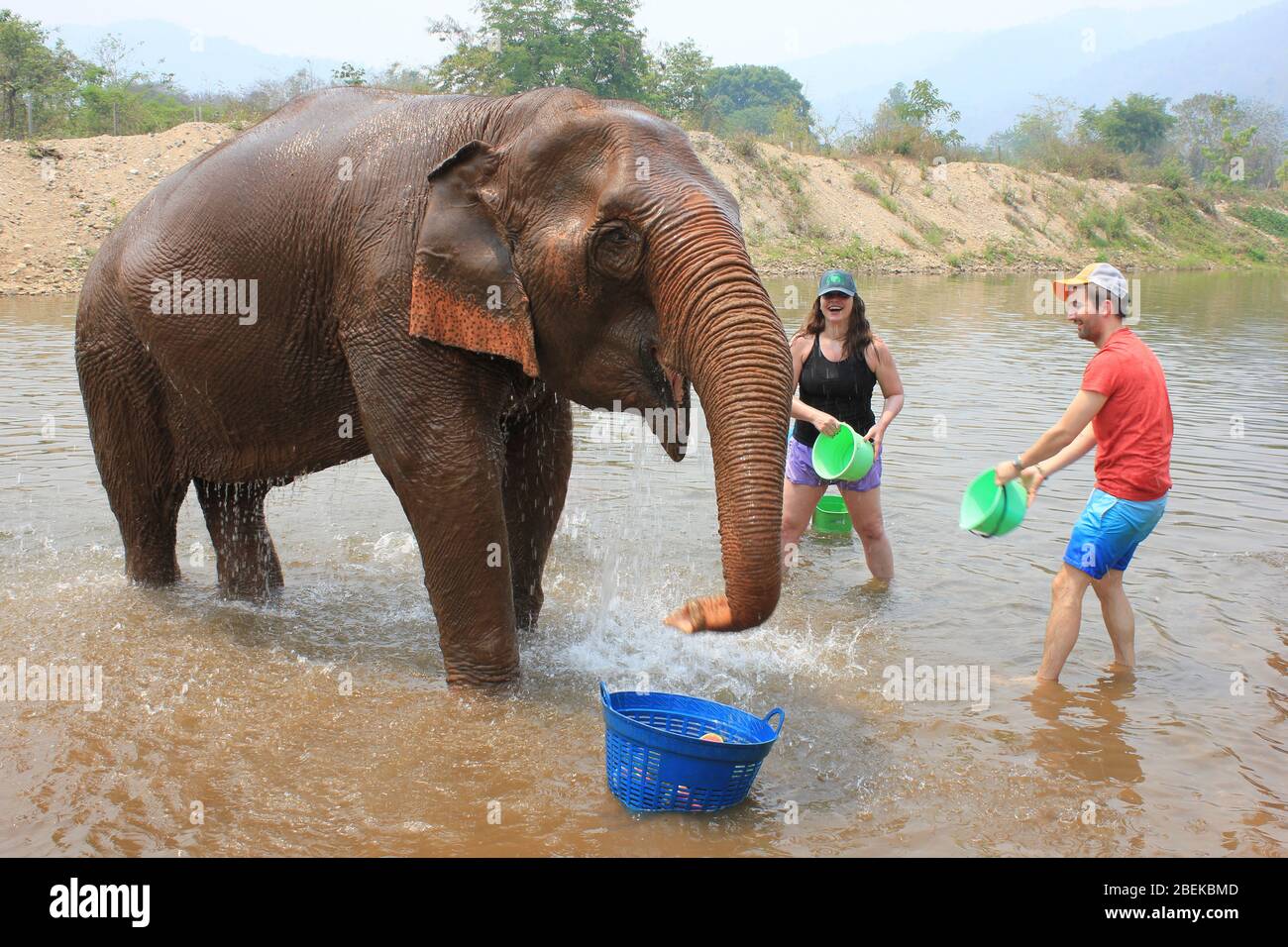 Turisti lavaggio elefante al Parco Naturale Elephant, Thailandia Foto Stock