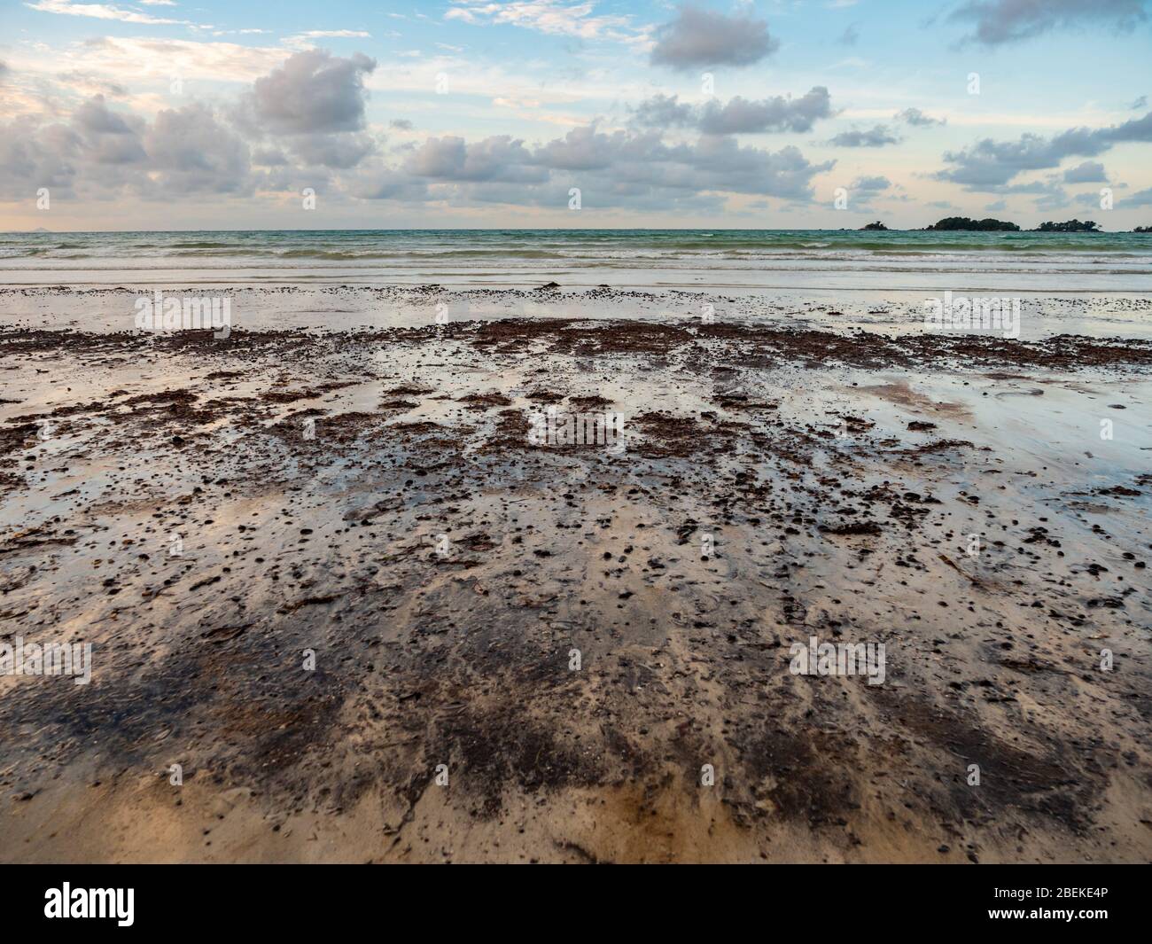 BINTAN, INDONESIA – 7 MAR 2020 – le palline di tarsico e i fanghi di petrolio provenienti da fuoriuscite di petrolio marino si lavano sulla spiaggia di Lagoi causando inquinamento ambientale Foto Stock