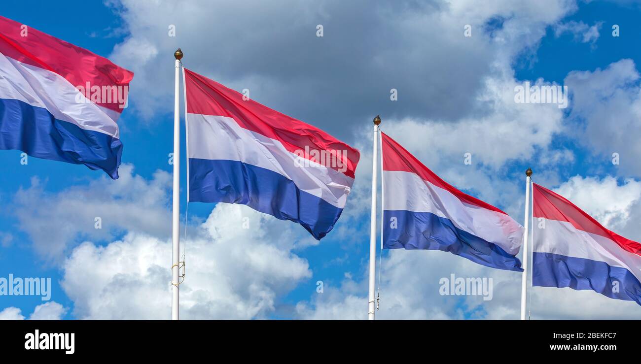 Fila di quattro bandiere nazionali olandesi contro un cielo blu nuvoloso e soleggiato Foto Stock