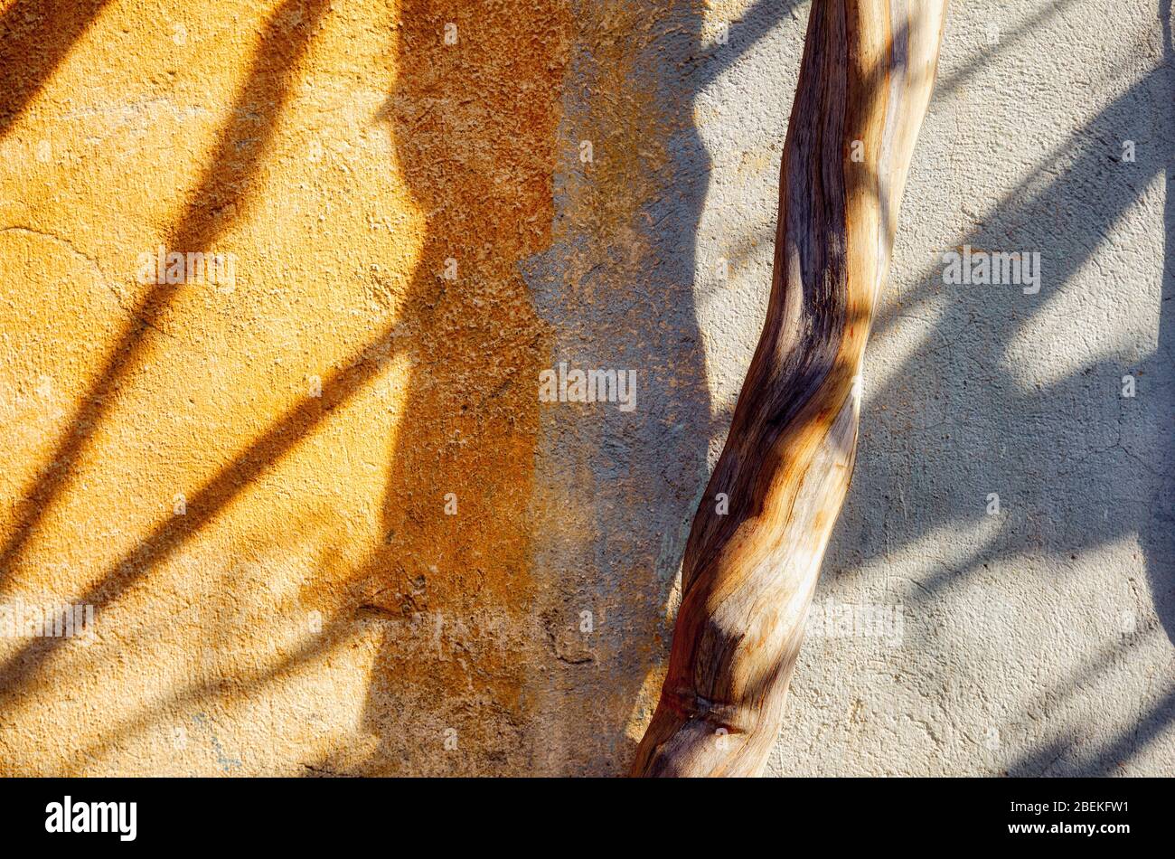 Tronco di albero ed ombre contro una parete di calcestruzzo avvolta. Concetto di distruzione ambientale. Foto Stock