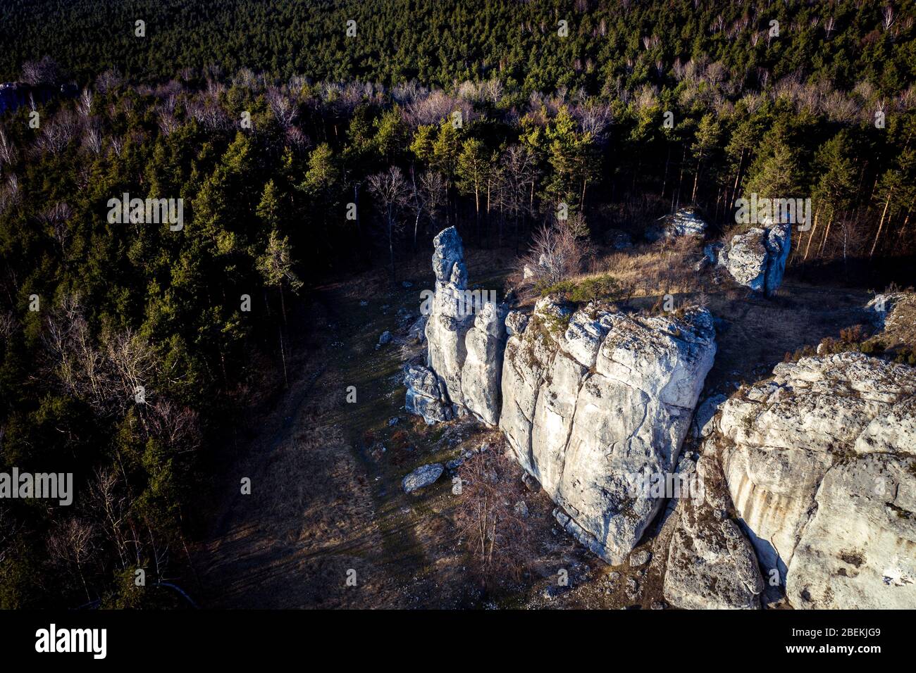 Vista dall'alto in basso/ Vista aerea sulle rocce calcaree sul monte Kołoczek a Podlesice (Upland Cracow - Czestochowa, Wyżyna Krakowsko - Czestochowska) Foto Stock