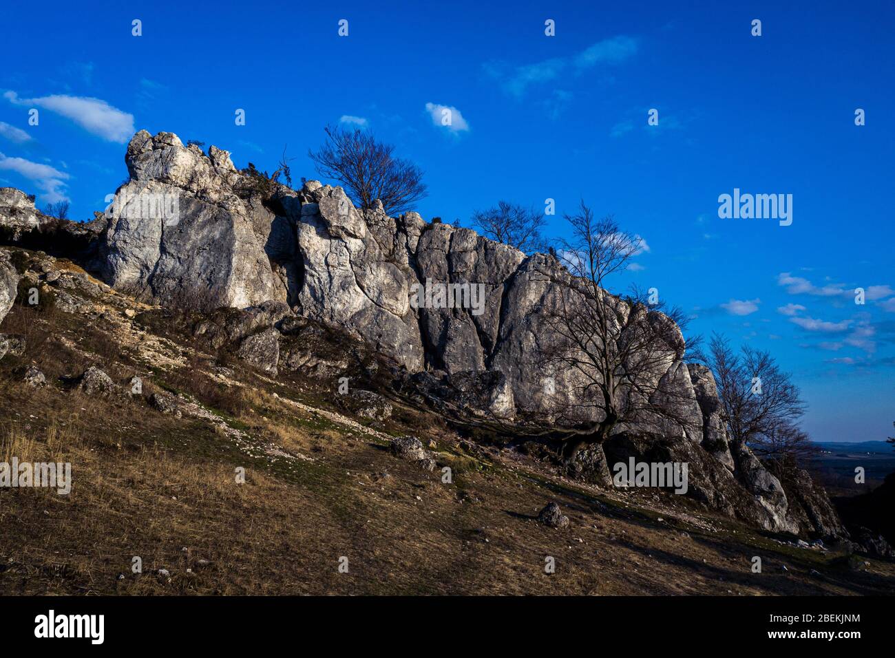 Vista dall'alto in basso/ Vista aerea sulle rocce calcaree sul monte Kołoczek a Podlesice (Upland Cracow - Czestochowa, Wyżyna Krakowsko - Czestochowska) Foto Stock