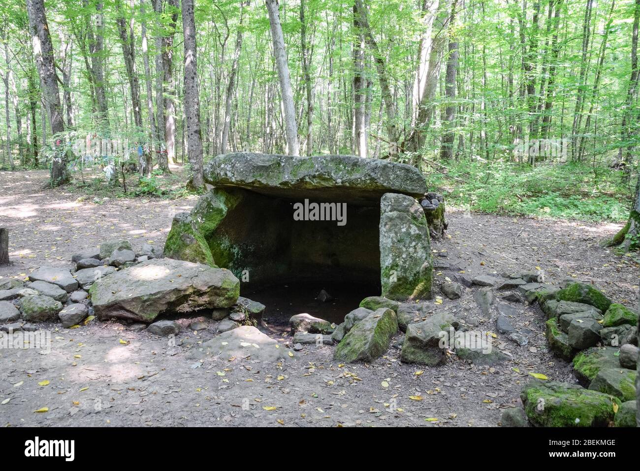 Dolmen in Shapsug. Foresta nella città vicino al villaggio di Shapsugskaya, le attrazioni sono Dolmen e rovine di civiltà antica. Foto Stock