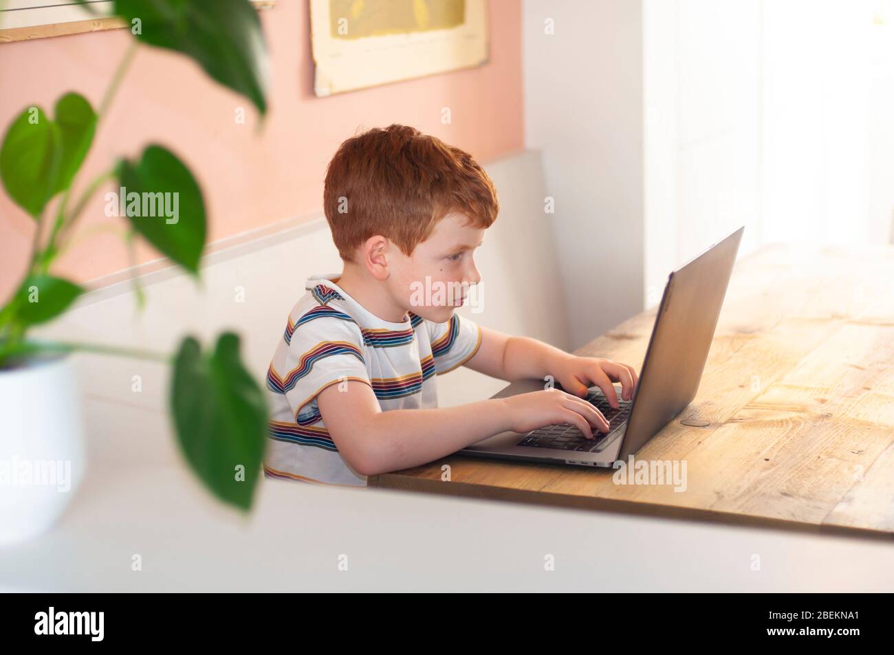Pre-teen ragazzo che si concentra sul suo lavoro scolastico al computer durante homeschooling a causa del blocco del coronavirus Foto Stock