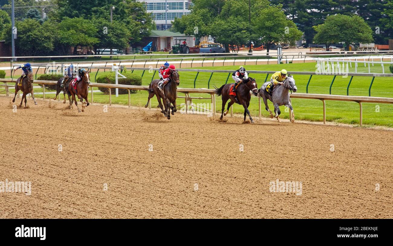 Corsa di cavalli, 7 equini, jockey, indossare sete, competizione, movimento, azione veloce, pista sterrata, sport, pista di Churchill Downs Racetrack; Kentucky; USA, Louisv Foto Stock