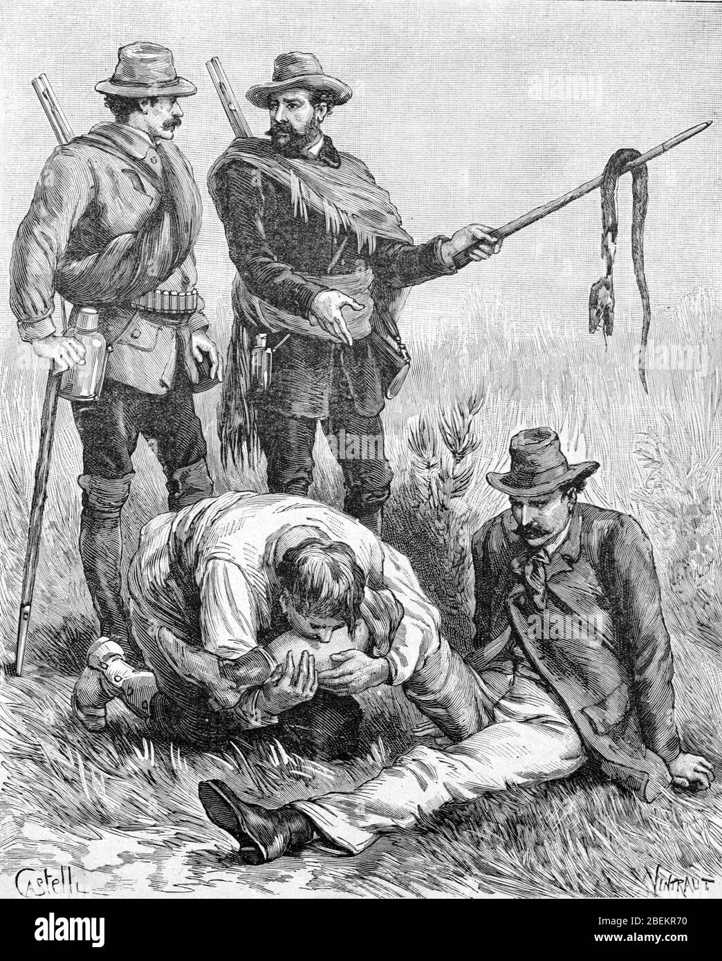 Uomo che tratta il nipplo Bite succhiando fuori Venom o veleno nella regione di Pampas del Sud America. Vintage o Old Illustration o Engraving 1887 Foto Stock