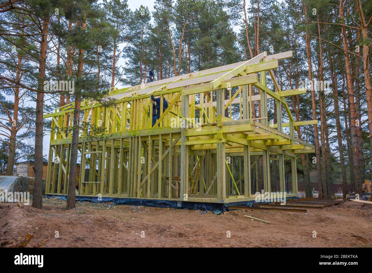 REGIONE DI LENINGRAD, RUSSIA - 10 MARZO 2020: Costruzione di una casa di campagna in un bosco di pini Foto Stock