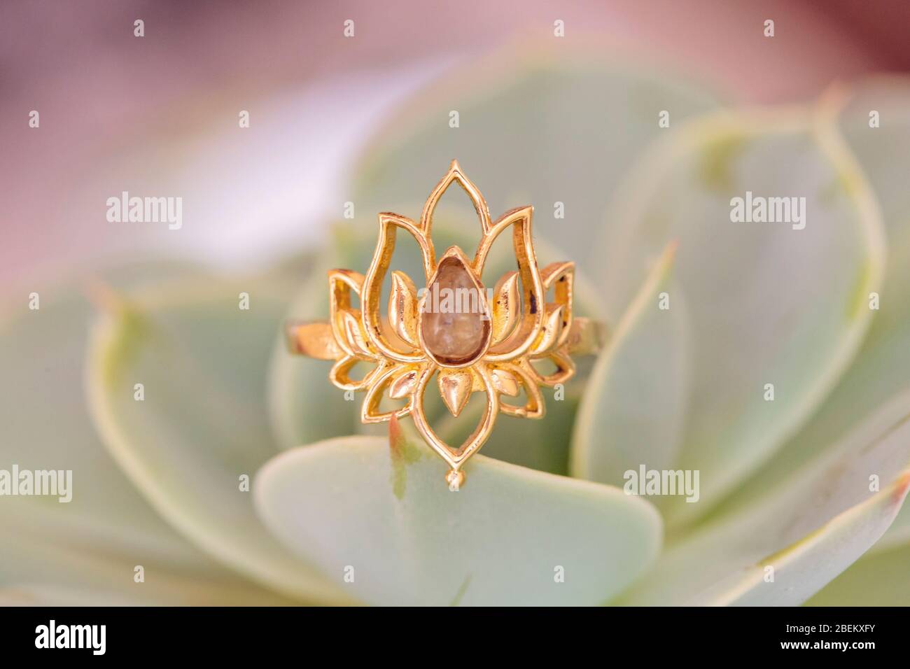 Romantico anello femminile in argento decorato in pianta houseleek Foto Stock