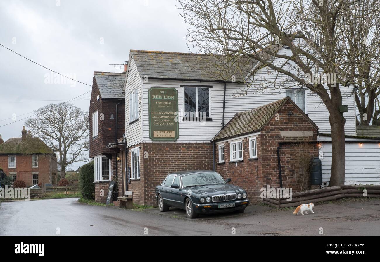 Gastropub Red Lion rivestito con clapboard a Stodmarsh, Kent sud-orientale Foto Stock