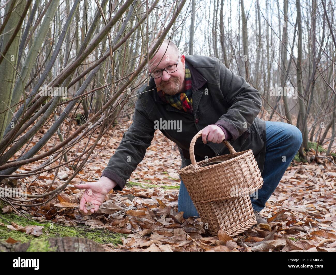 Nick Robinson dalla Oast Smokehouse a Sandwich, foraging per funghi nei boschi del Kent orientale Foto Stock