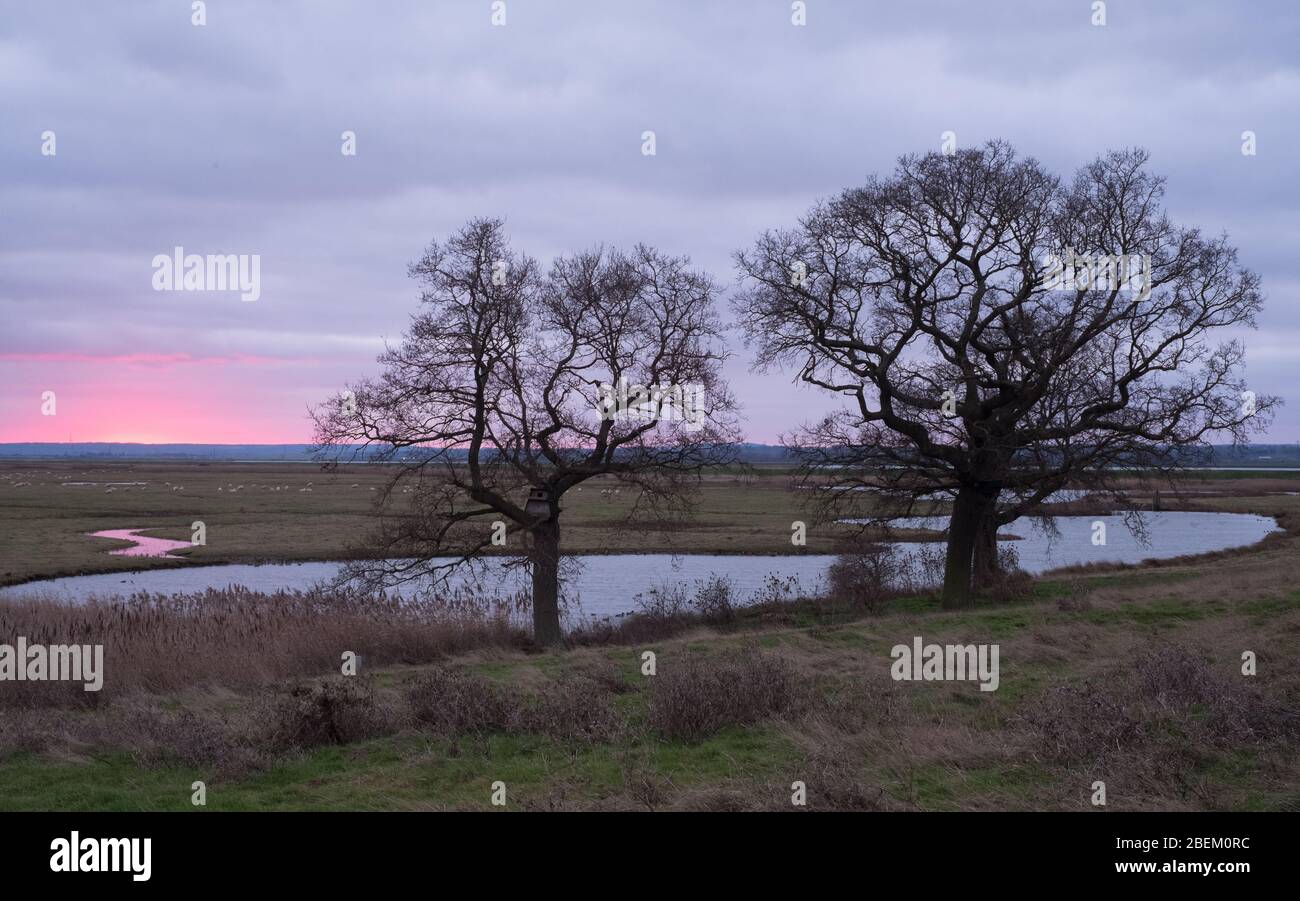 Alba sulle paludi a Elmley Nature Reserve, Isola di Sheppey, Kent Foto Stock