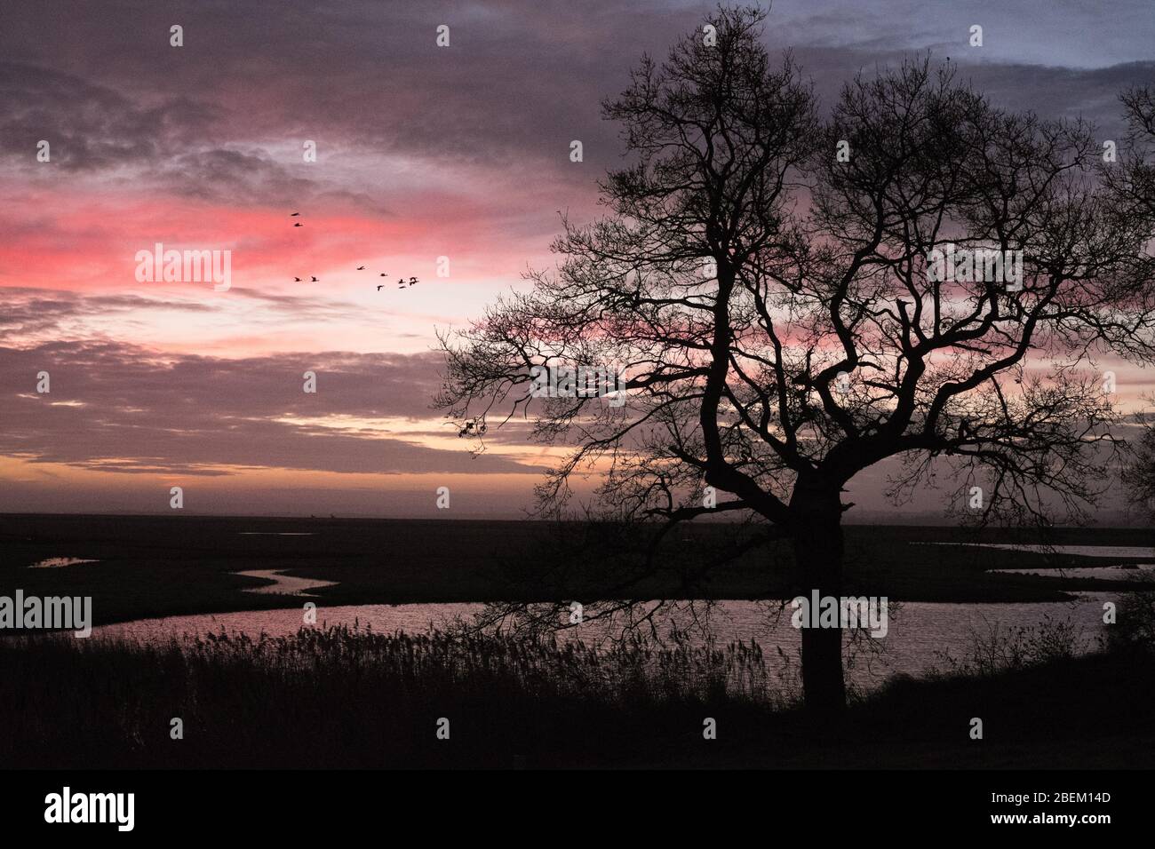 Alba sulle paludi della riserva naturale di Elmley, Isola di Sheppey, Kent Foto Stock