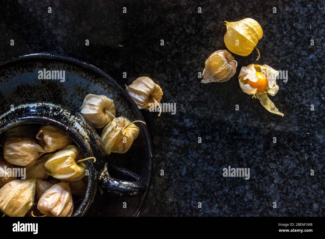 Ancora vita di goosebers del Capo, ancora nelle loro bucce, in una tazza scura su uno sfondo scuro Foto Stock