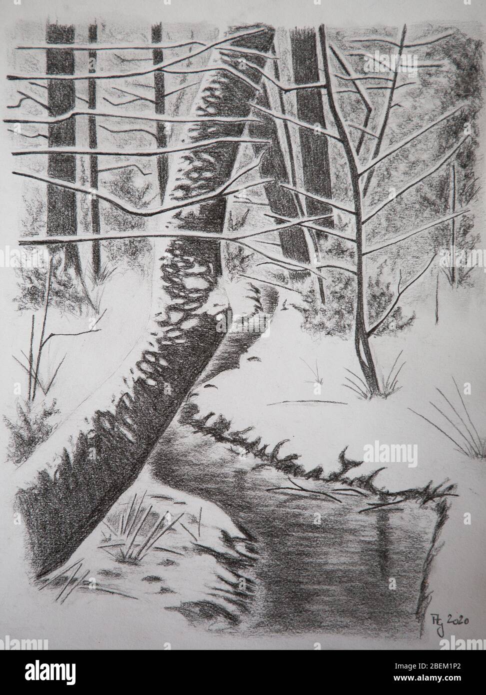 disegno a matita di alberi con neve in inverno Foto stock - Alamy