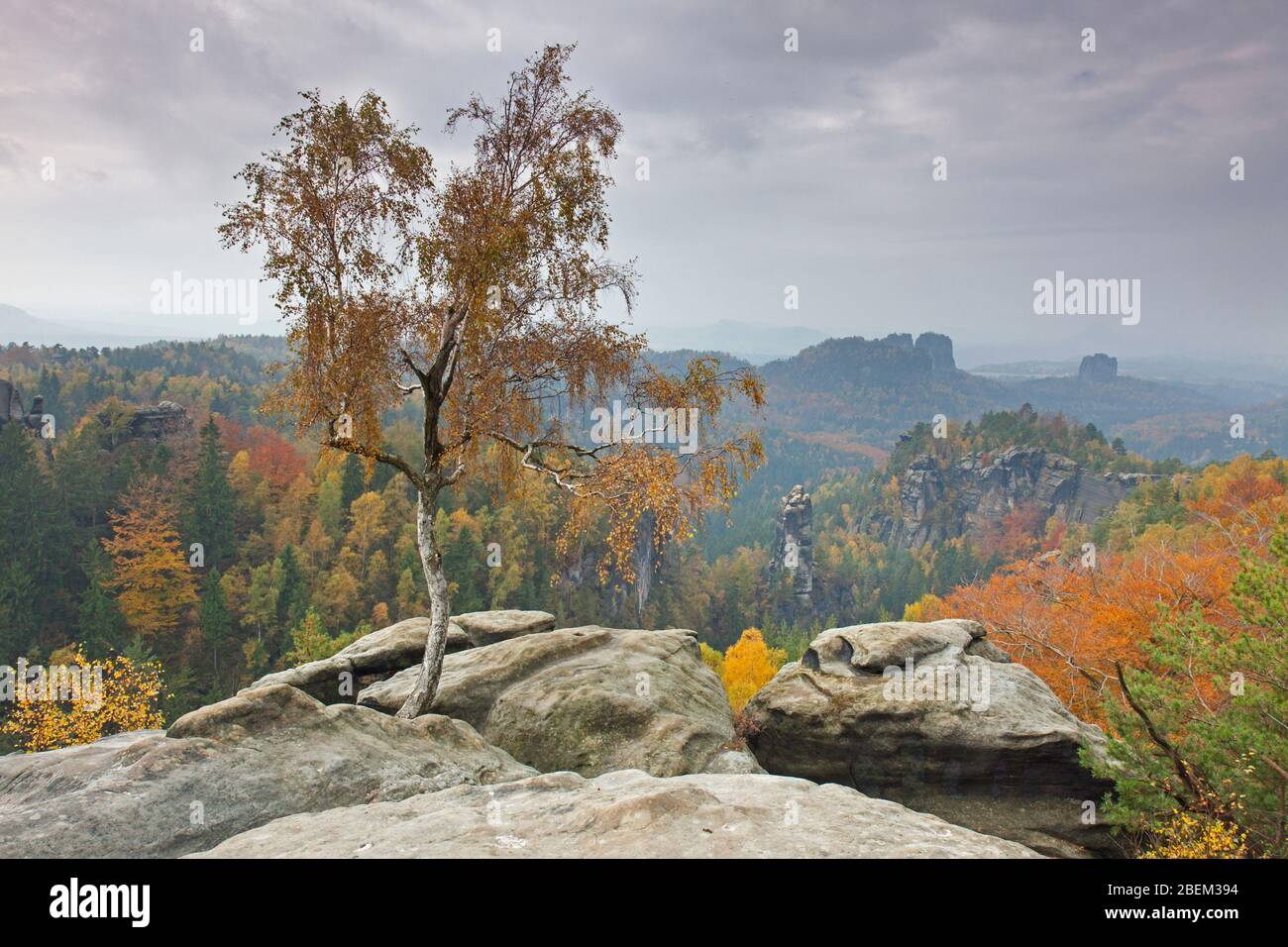 Vista da Carolafelsen al Großer Dom / Grossen Dom, Elbe arenaria Montagne, Sassonia Svizzera NP, Sassonia, Germania Foto Stock