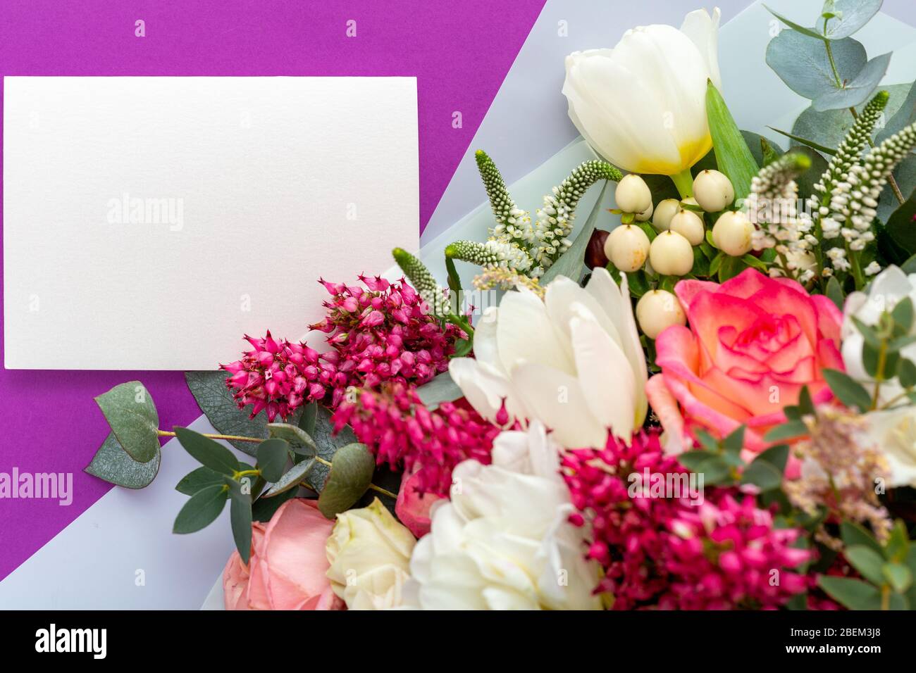 Fiori mock up carta regalo. Congratulazioni carta in bouquet di rose, tulipani, eucalipto su sfondo viola. Scheda bianca vuota con spazio per il testo Foto Stock