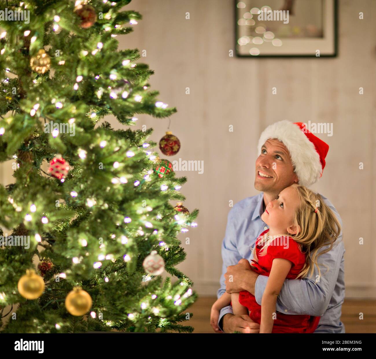Padre e figlia ammirando il loro albero di Natale Foto Stock