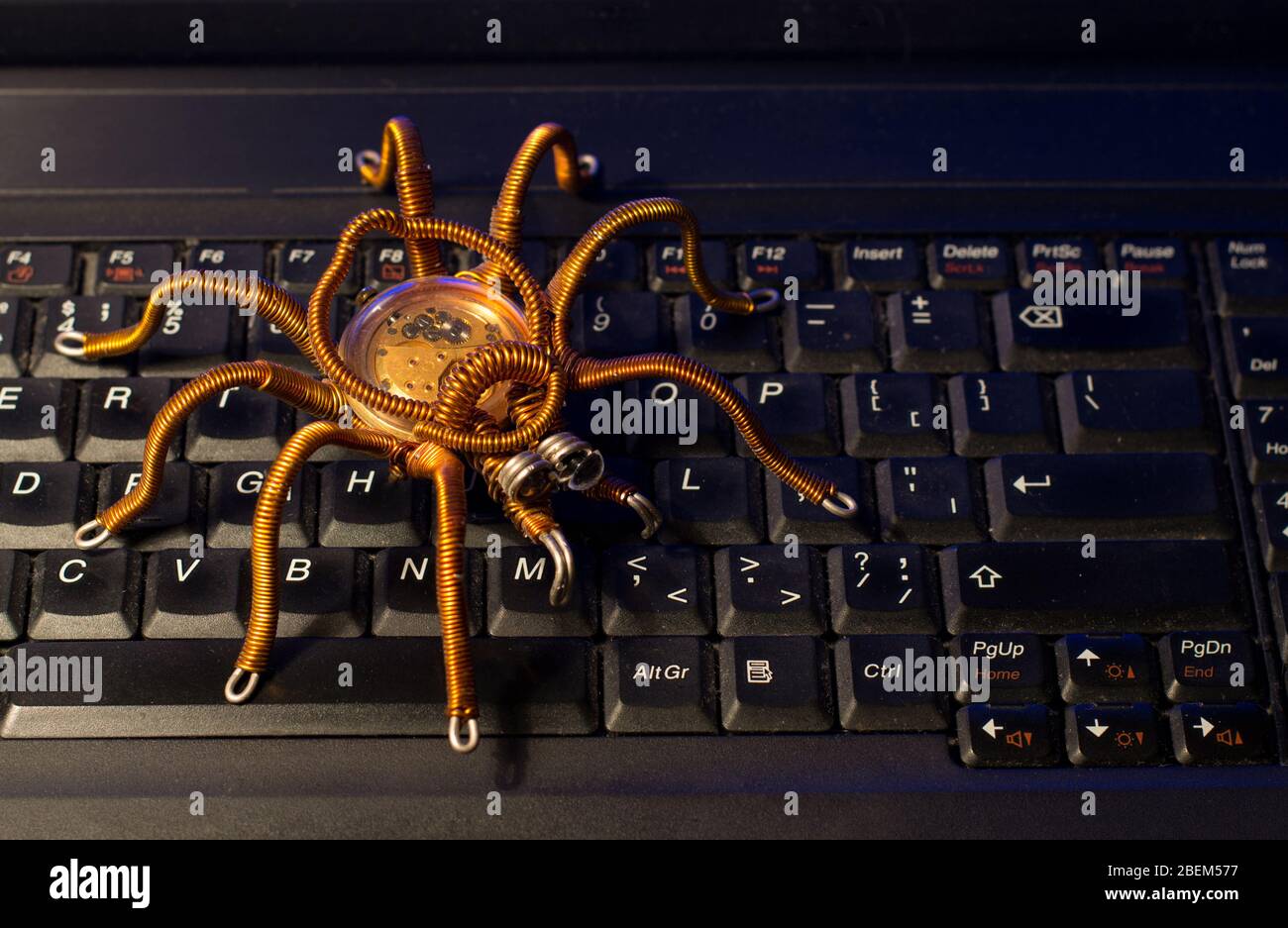 Spider sulla tastiera del computer, virus, tema della sicurezza delle informazioni Foto Stock