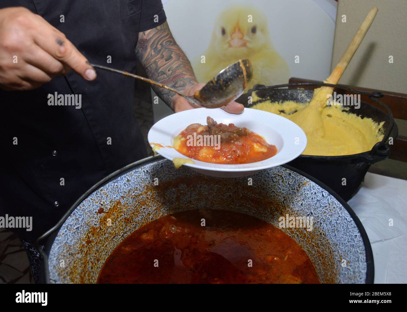 Primo piano di chef che versa stufato di pollo in piatto con siviera, da grande pentola, accanto alla tradizionale polenta rumena o 'mamaliga', rustico e delizioso Foto Stock