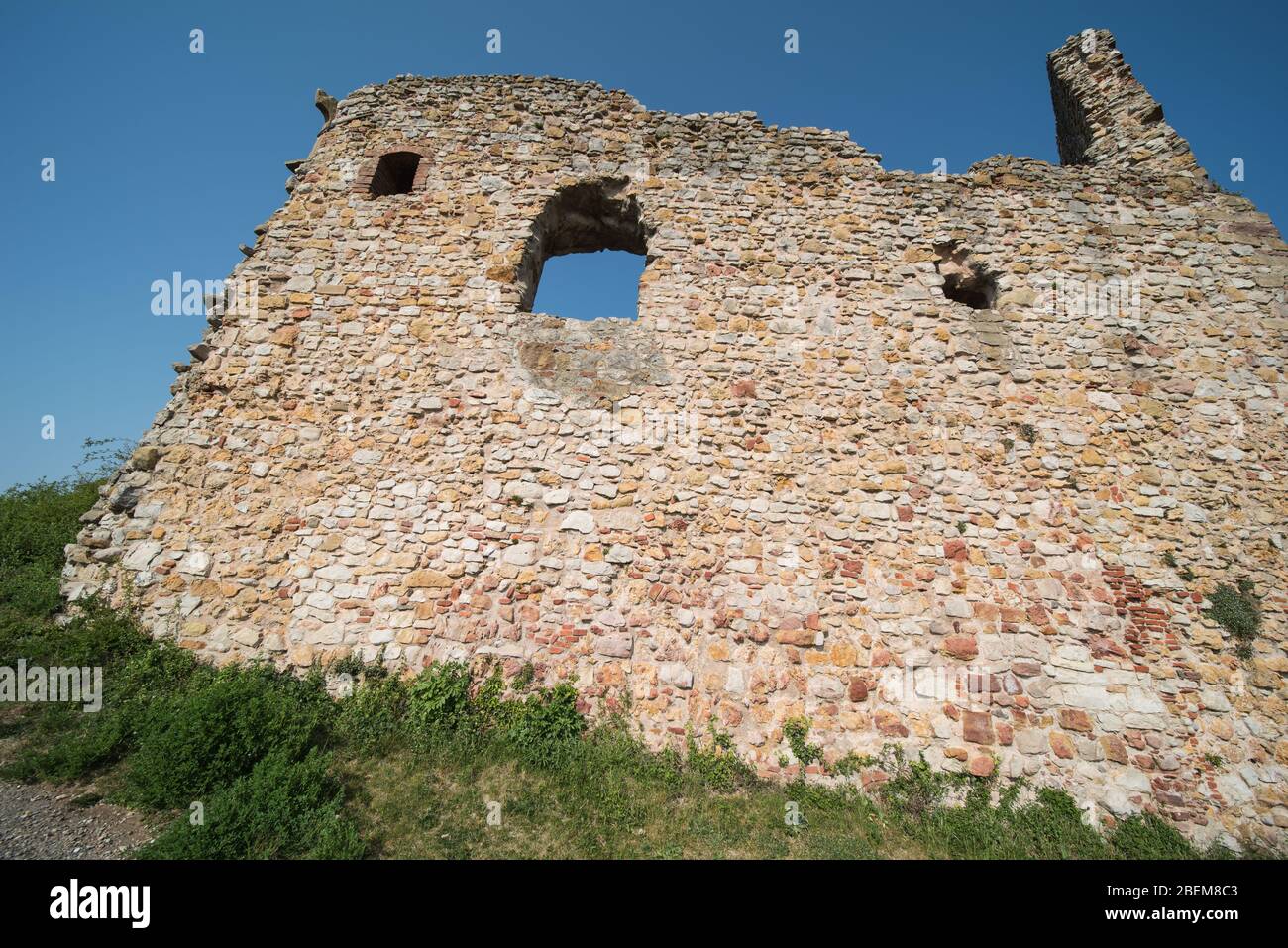 ruine Staufen nella Germania meridionale, il castello si trova su un vigneto. Foto Stock