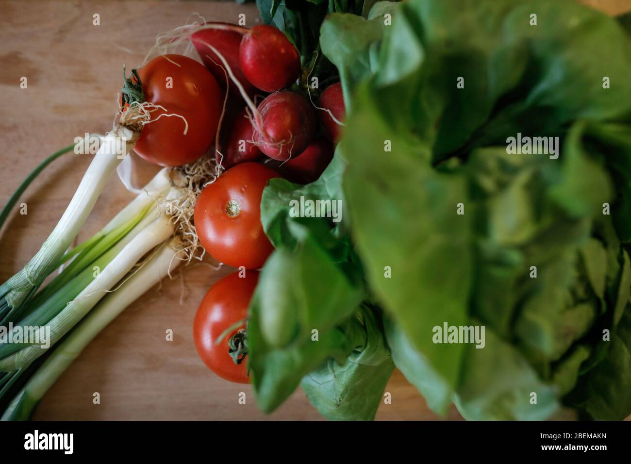 Immagine poco profonda (fuoco selettivo) con ingredienti per insalata cipolle primaverili su un taglierino di legno - cipolle primaverili, pomodori, insalata verde, radiole Foto Stock