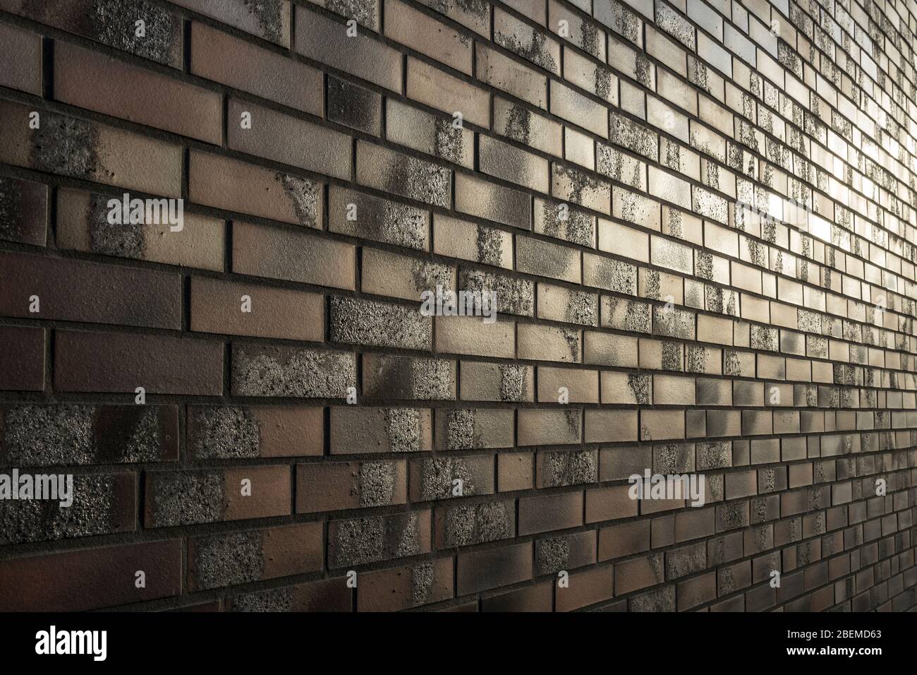 Muro di mattoni in luce serale. Foto Stock