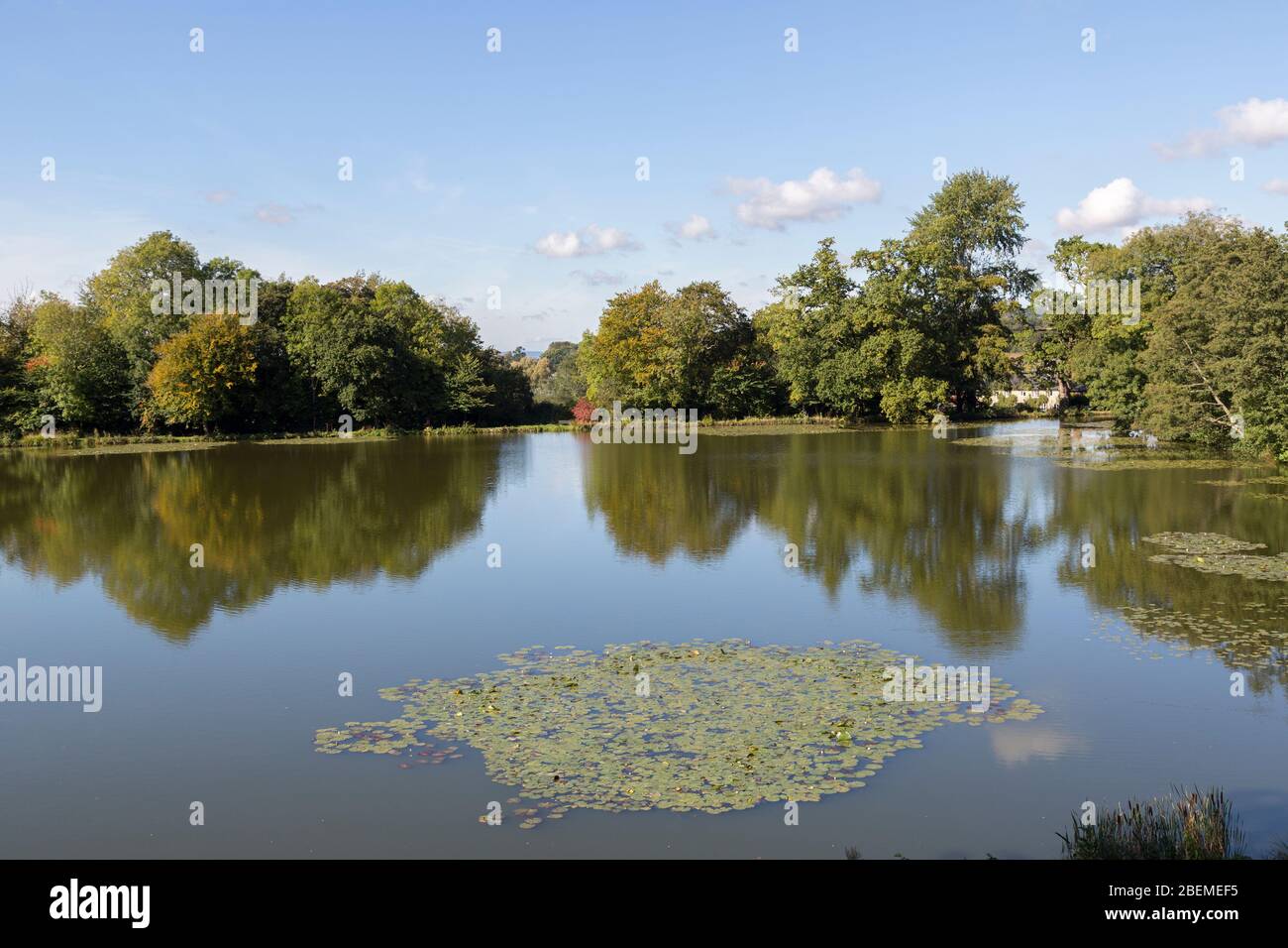 Lago nei terreni del Castello di Old Wardour, Wiltshire, Inghilterra, Regno Unito Foto Stock