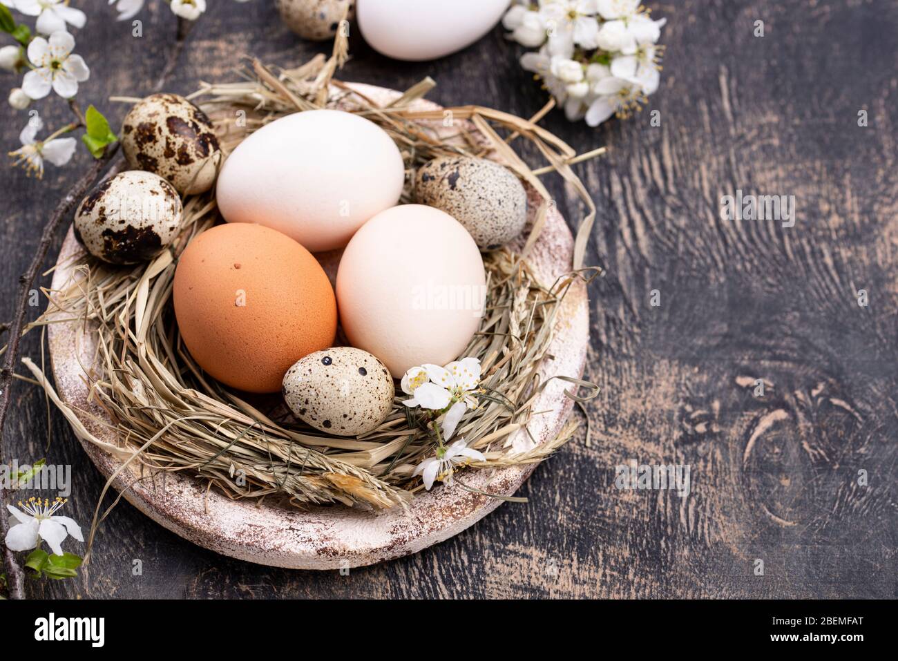 Composizione pasquale con uova e ramo fiorente Foto Stock