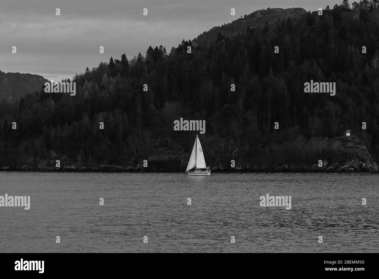Barca a vela con vela NÉ 7621. A Byfjorden, fuori dal porto di Bergen, Norvegia Foto Stock