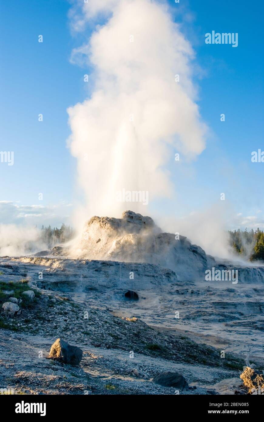 Castello Geyser eruttando alla luce del tardo pomeriggio nel Parco Nazionale di Yellowstone Foto Stock