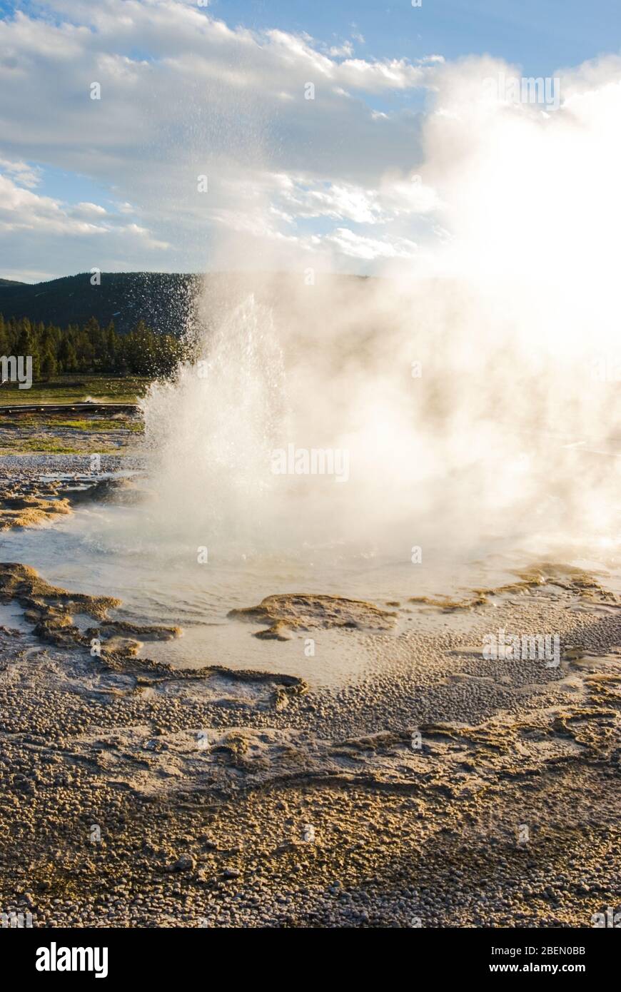 Segheria Geyser nel Parco Nazionale di Yellowstone erutta alla luce del tardo pomeriggio Foto Stock