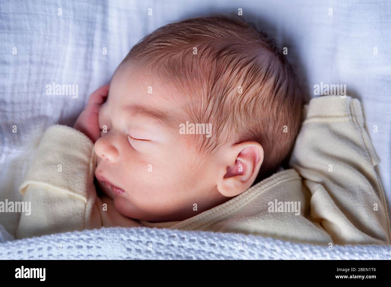 Neonato che dorme sulla schiena in una culla di moses Foto Stock