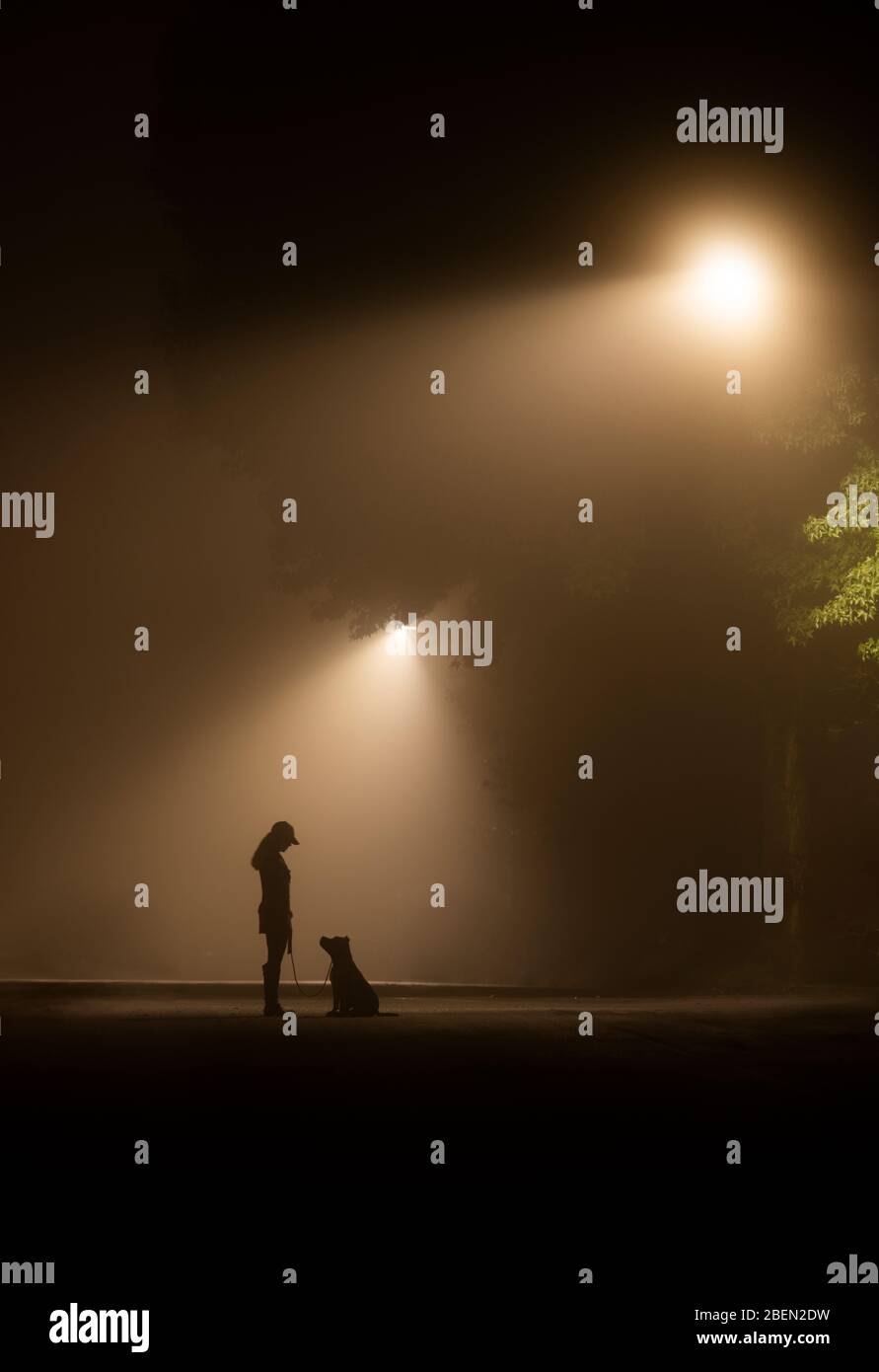 Ragazza e cane su Foggy Lamp Lit Street Foto Stock