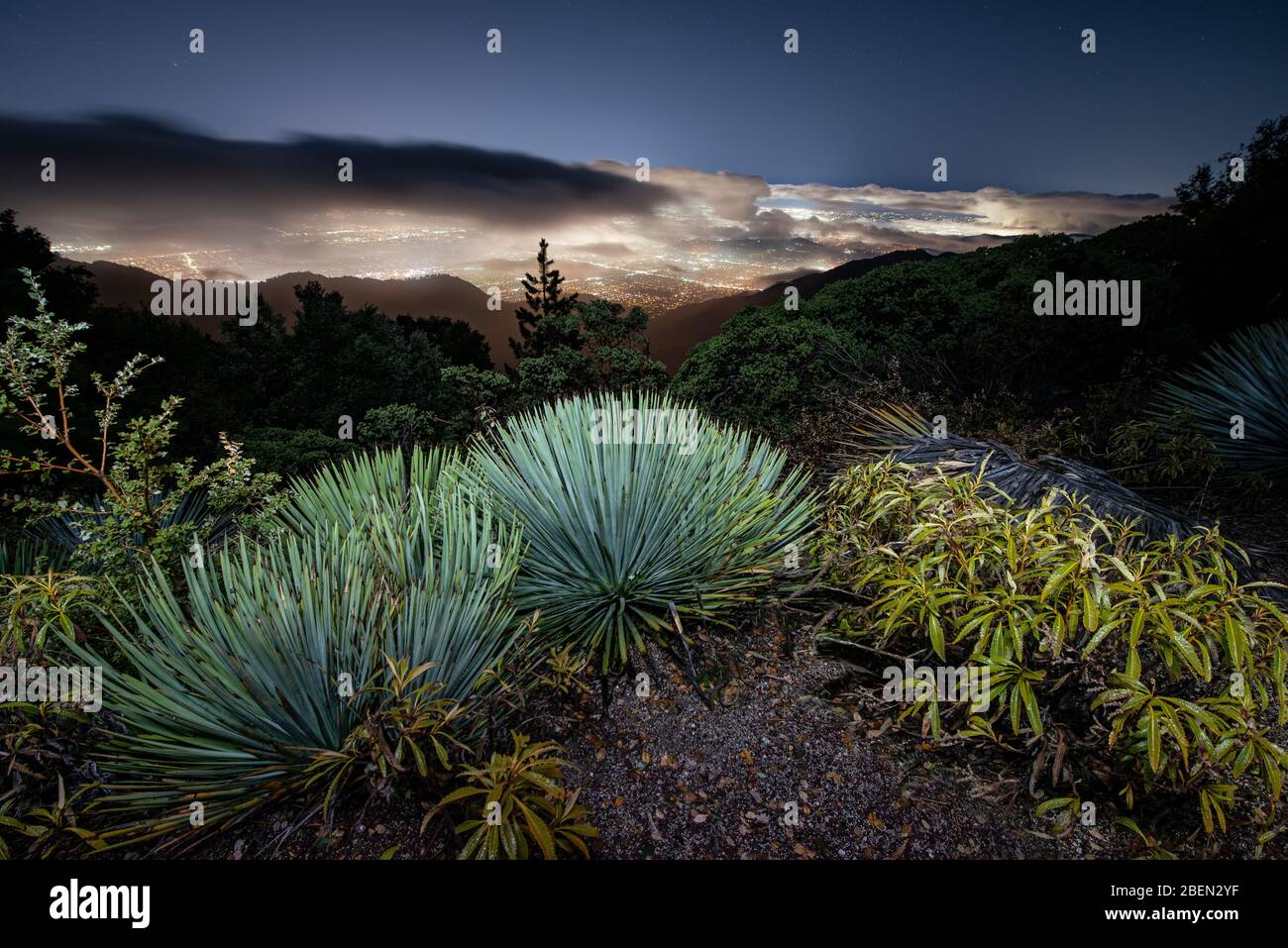 Paesaggio urbano che si affaccia su Los Angeles dal Monte Wilson Foto Stock