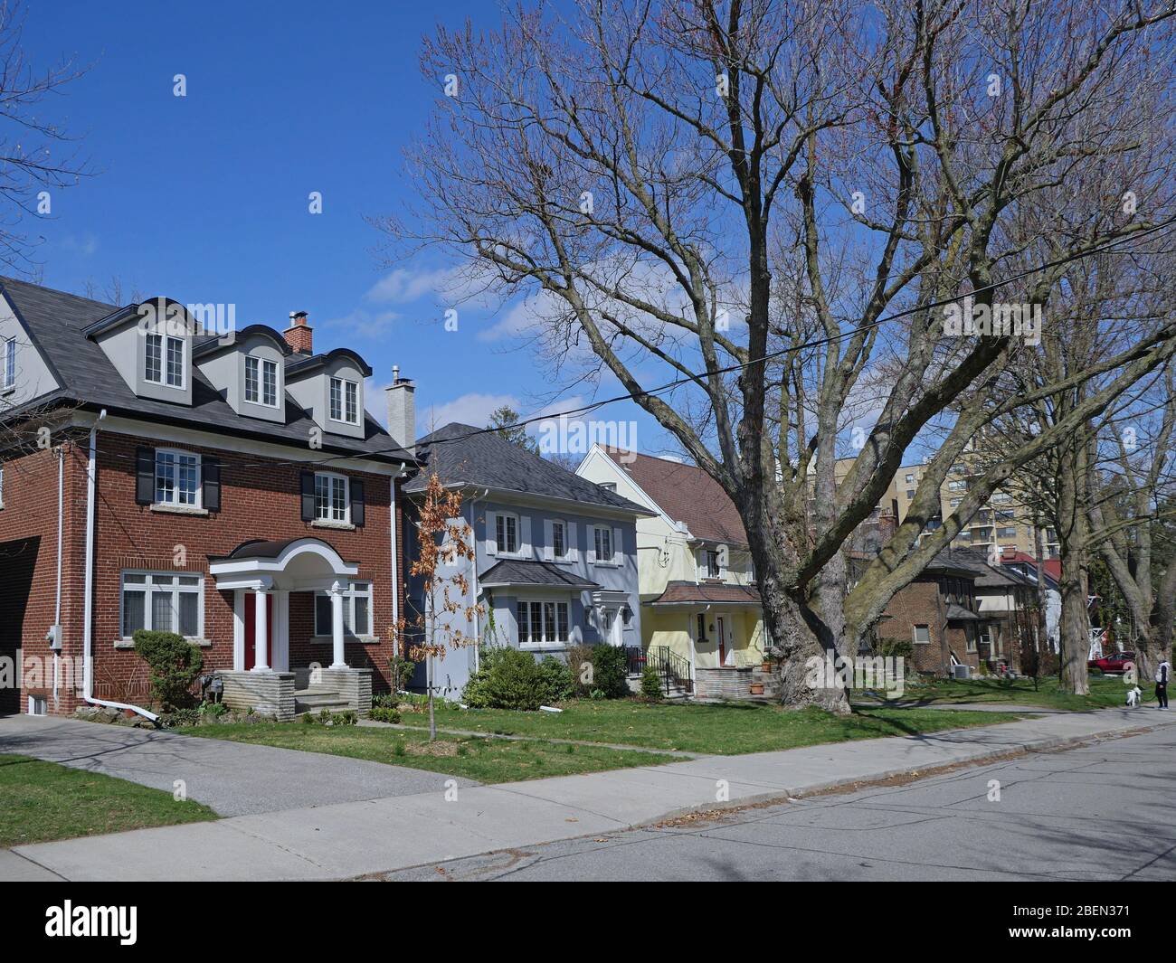 Strada residenziale con grandi case indipendenti con cortili di fronte e alberi maturi Foto Stock