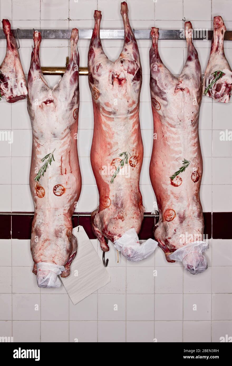 Carcasse di agnello appese in macelleria Foto Stock