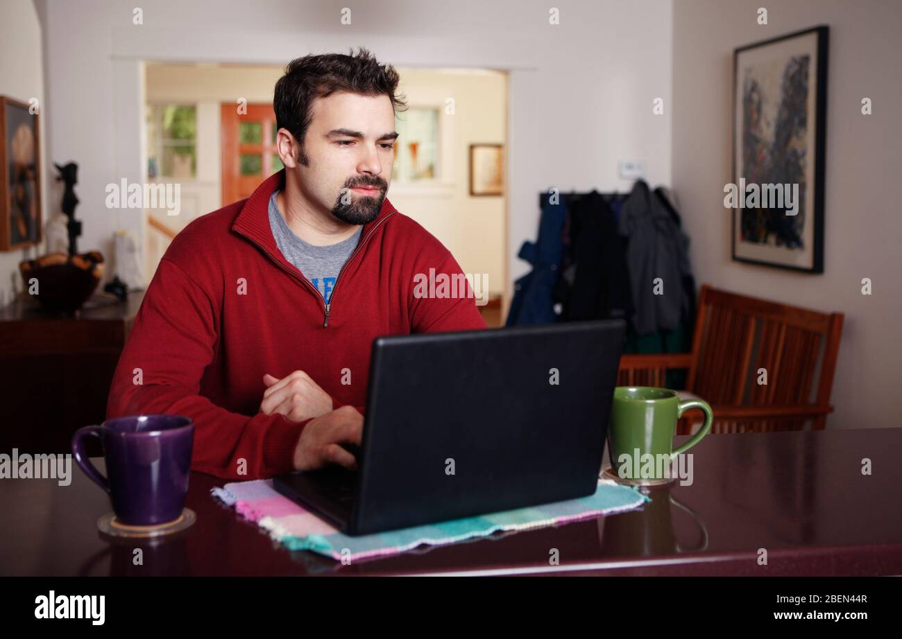 Uomo al lavoro su computer portatile da casa Foto Stock