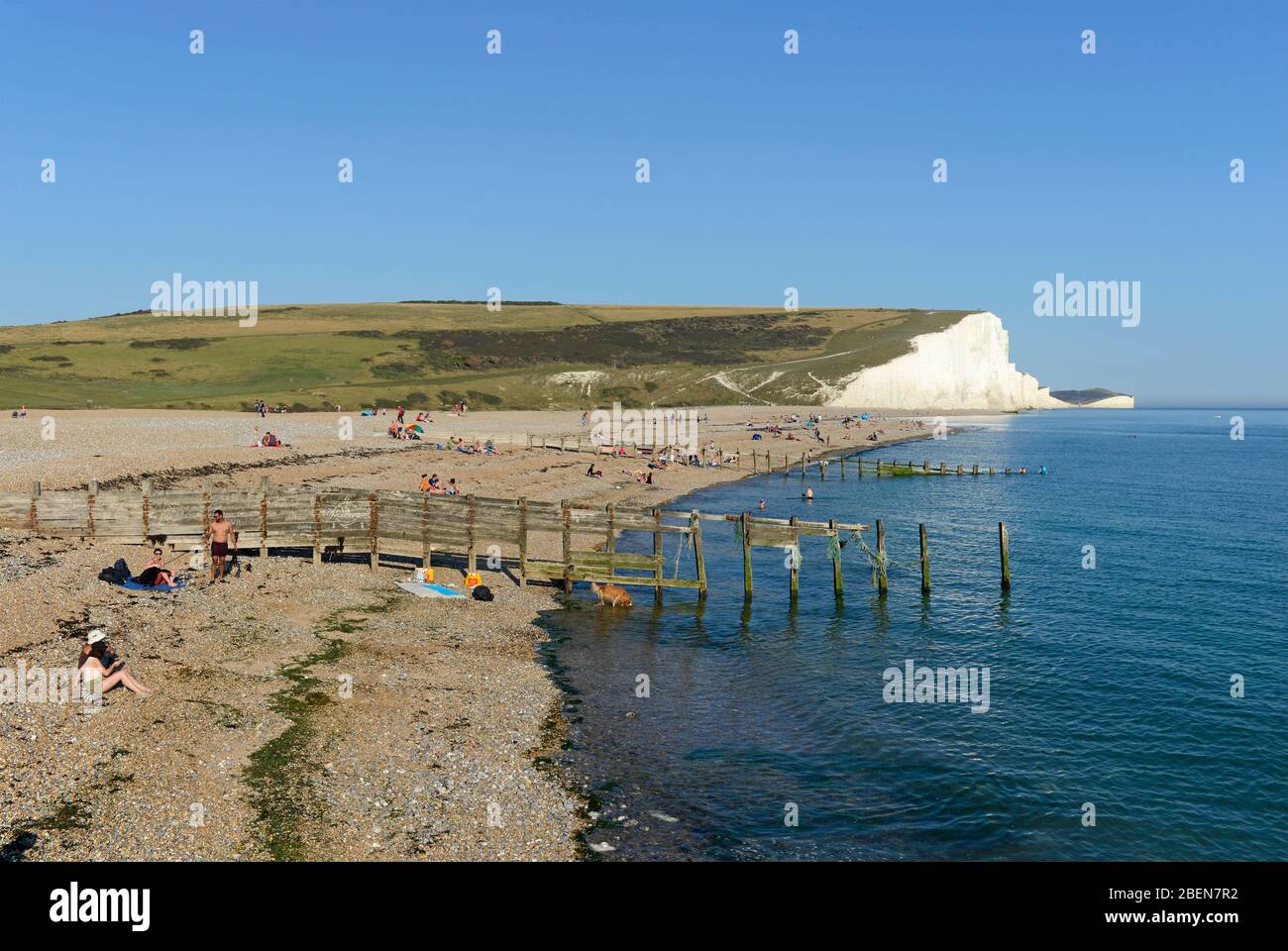 Vista a Cuckmere Haven, estremità occidentale delle scogliere di Seven Sisters a East Sussex, Regno Unito, con groynes che proteggono la spiaggia dall'erosione Foto Stock
