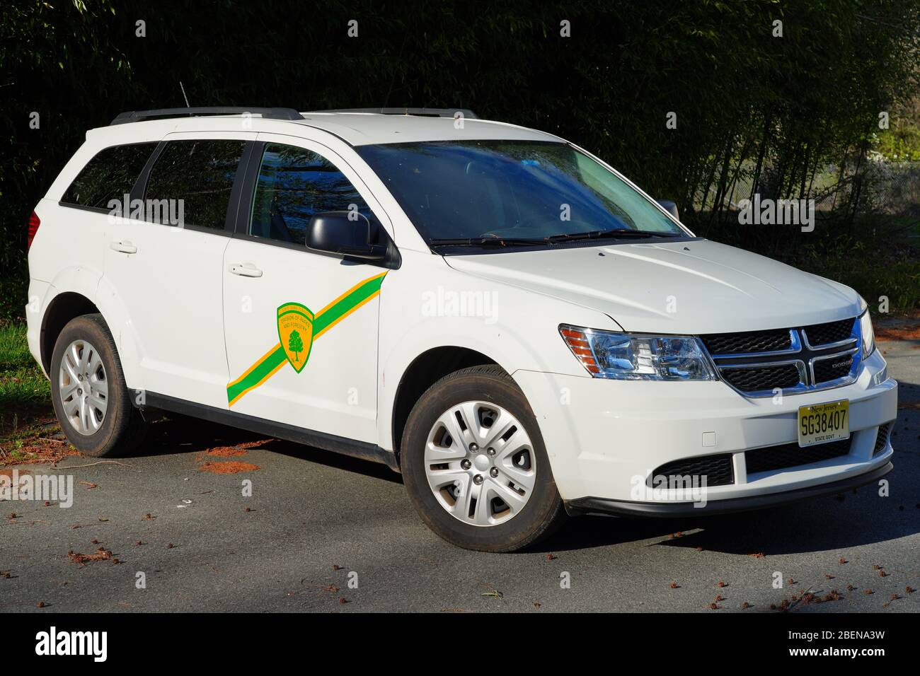 KINGSTON, NJ -4 Apr 2020- Vista del logo della New Jersey NJ state Park Service Division of Parks and Forestry al D & R Canal state Park. Foto Stock