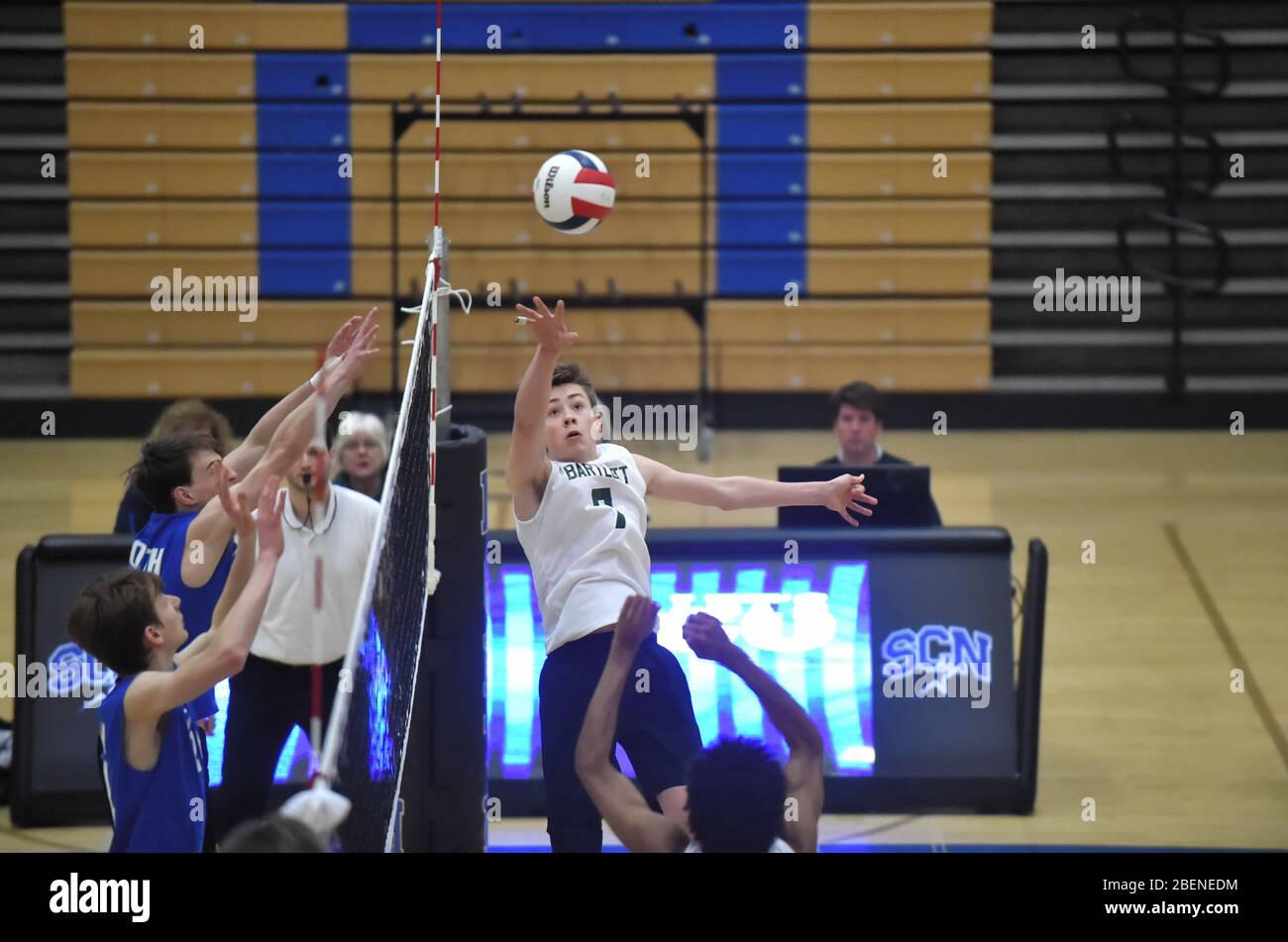 Impostazione del giocatore con una mano per un compagno di squadra durante un volley esteso. USA. Foto Stock