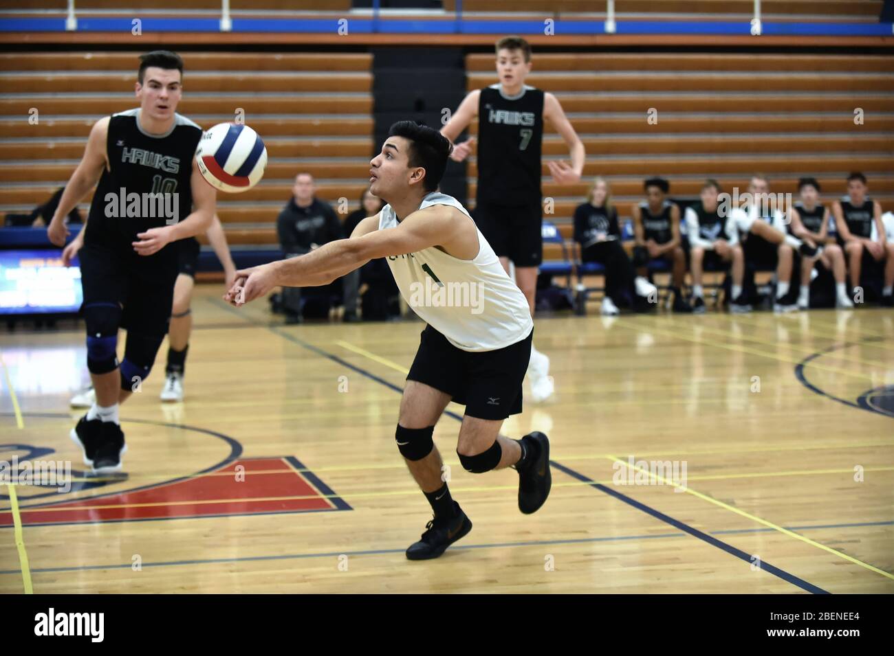 Giocatore che si sposta verso la palla per mantenere vivo un volley. USA. Foto Stock
