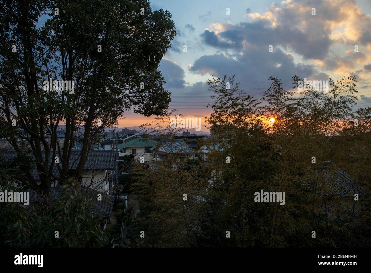 Bella alba attraverso gli alberi in un tranquillo quartiere suburbano Foto Stock