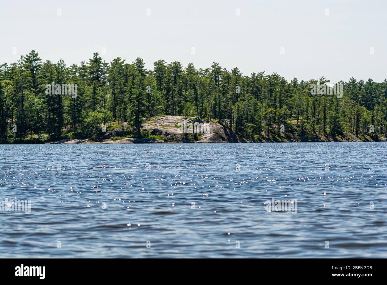 Carry Bay Beach Stoney Lake North Kawarthas Ontario Canada Foto Stock