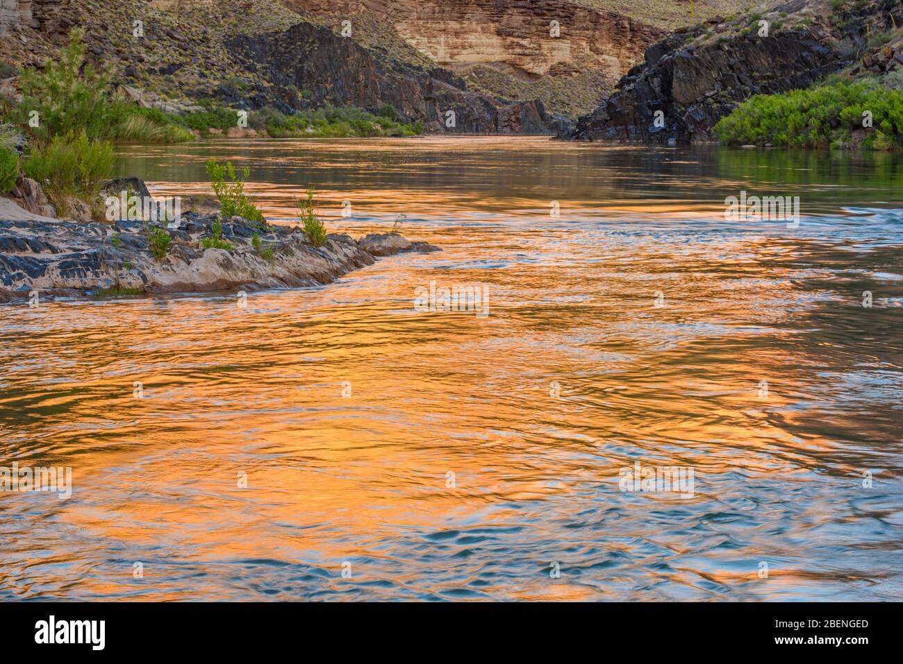 Luce serale che riflette le pareti del Grand Canyon nel fiume Colorado al campo del Blacktail Canyon, al Parco Nazionale del Grand Canyon, Arizona, Stati Uniti Foto Stock