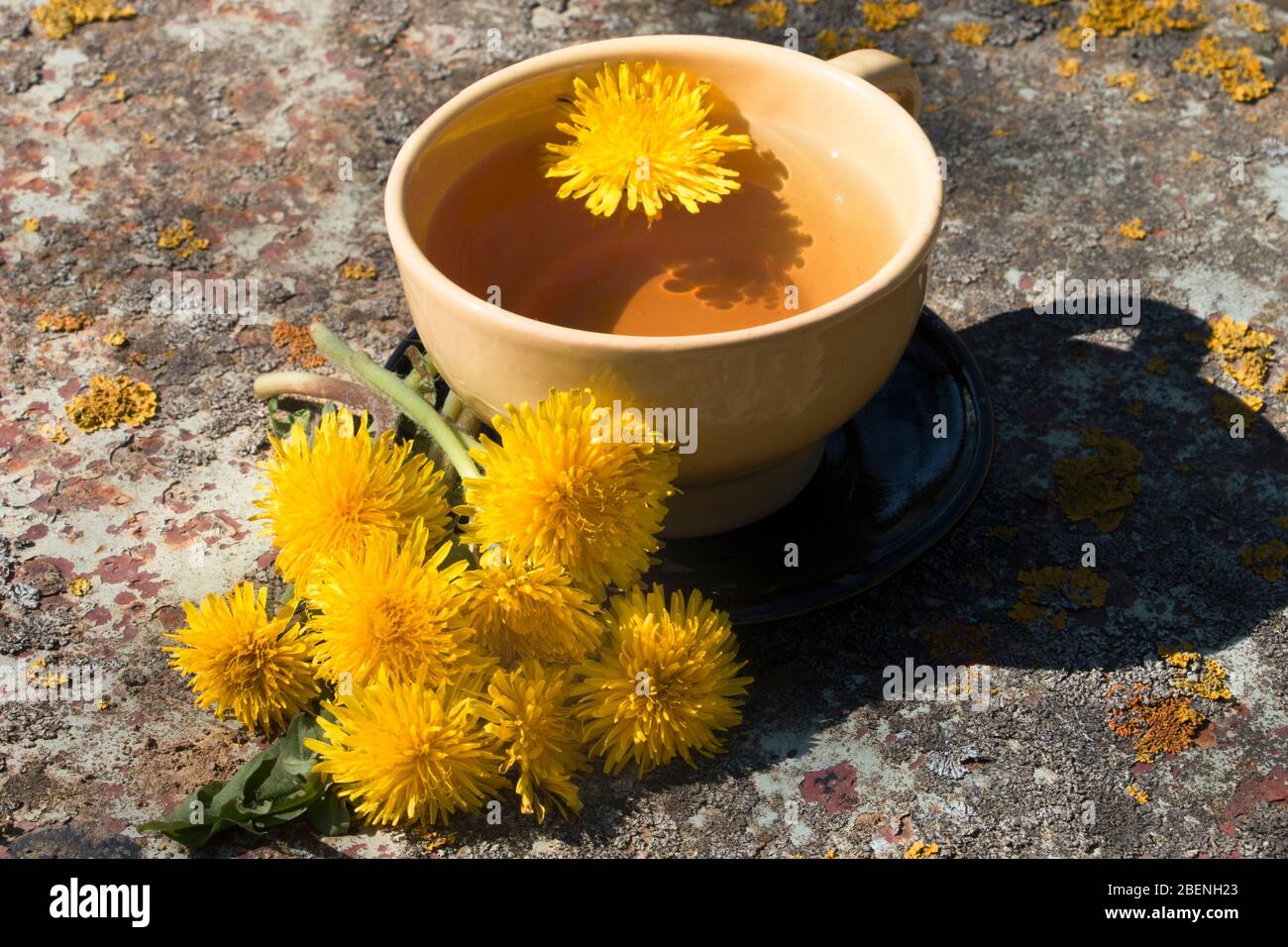 Tè detox fresco fatto in casa da dente di leoni su un tavolo in metallo nel giardino Foto Stock