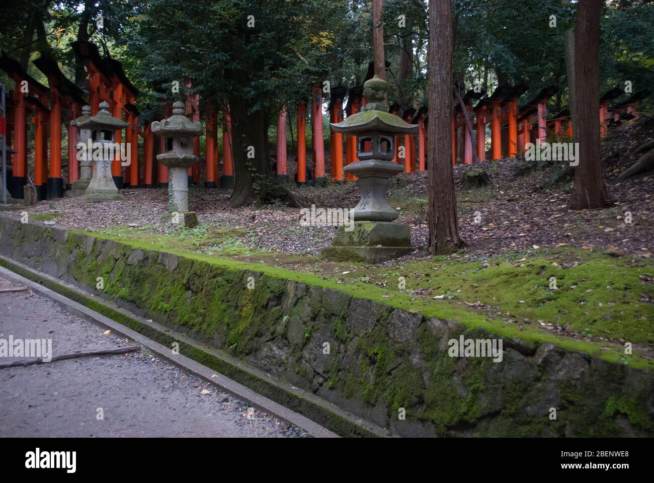 Santuario di Fushimi Inari Taisha, 68 Fukakusa Yabunouchicho, Fushimi Ward, Kyoto, 612-0882, Giappone Foto Stock