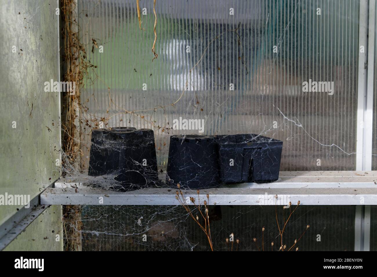 Pentole di pianta di plastica sedersi in una casa verde in attesa di una primavera pulita per essere replanted Foto Stock
