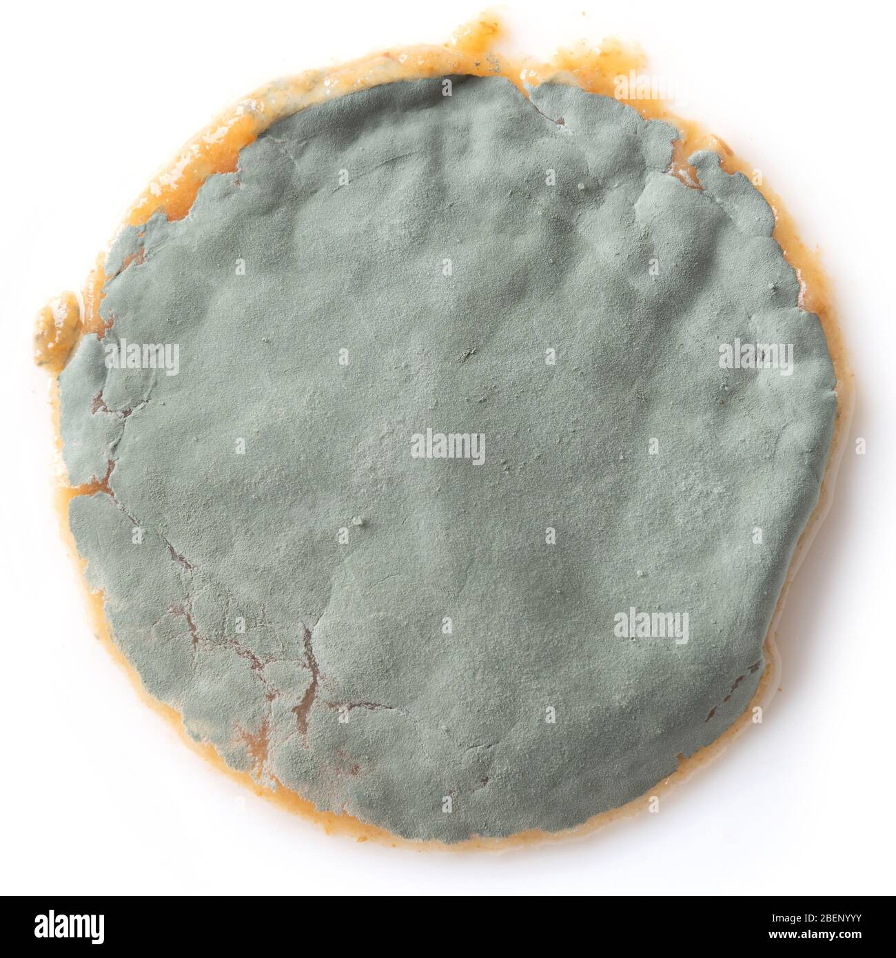 Succo di mela ammuffito. Stoccaggio improprio dei prodotti, scorte eccessive portano a deterioramento degli alimenti. Primo piano, isolato. Spazio di copia. Foto Stock