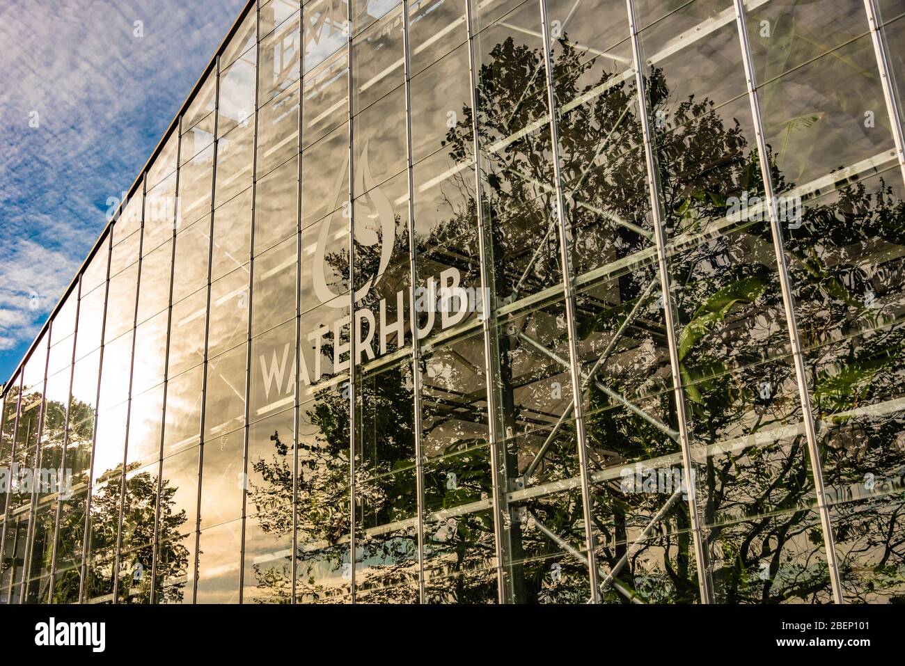 WaterHub è un sistema di riciclaggio dell'acqua in loco presso l'Emory University che utilizza processi di ingegneria ecologica per pulire le acque reflue per usi non potabili. Foto Stock